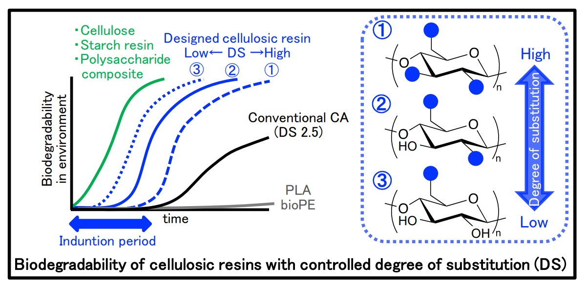 Biodegradability of cellulosic resin